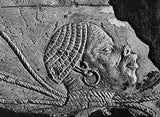 Hebrew Israelite Bonnet / Kufi